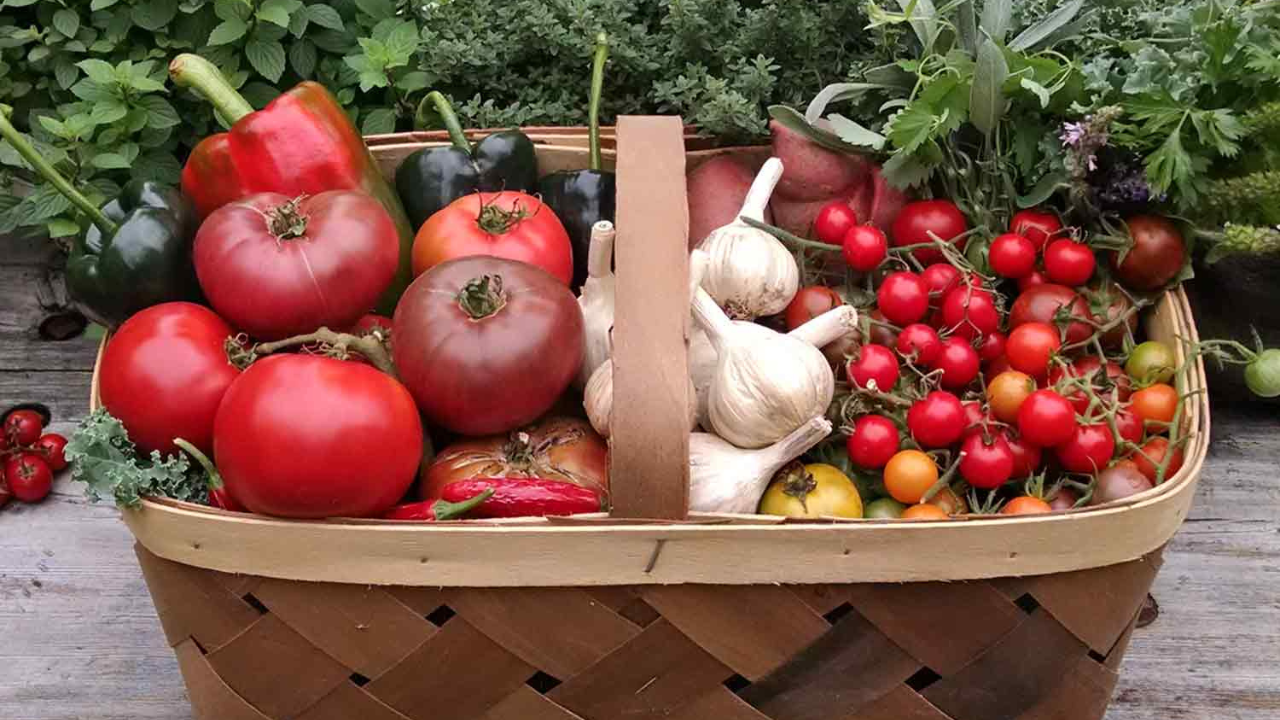 12 Easy to Grow Vegetables for Beginners