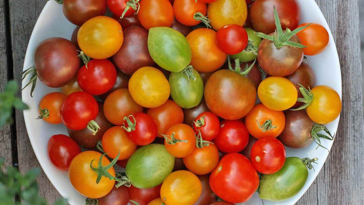 The Best-Tasting Cherry Tomatoes to Grow