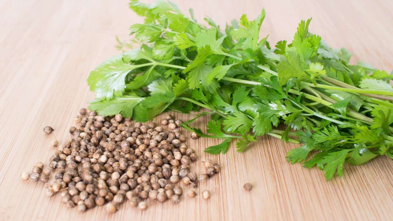 Get Seeds from Cilantro Plant