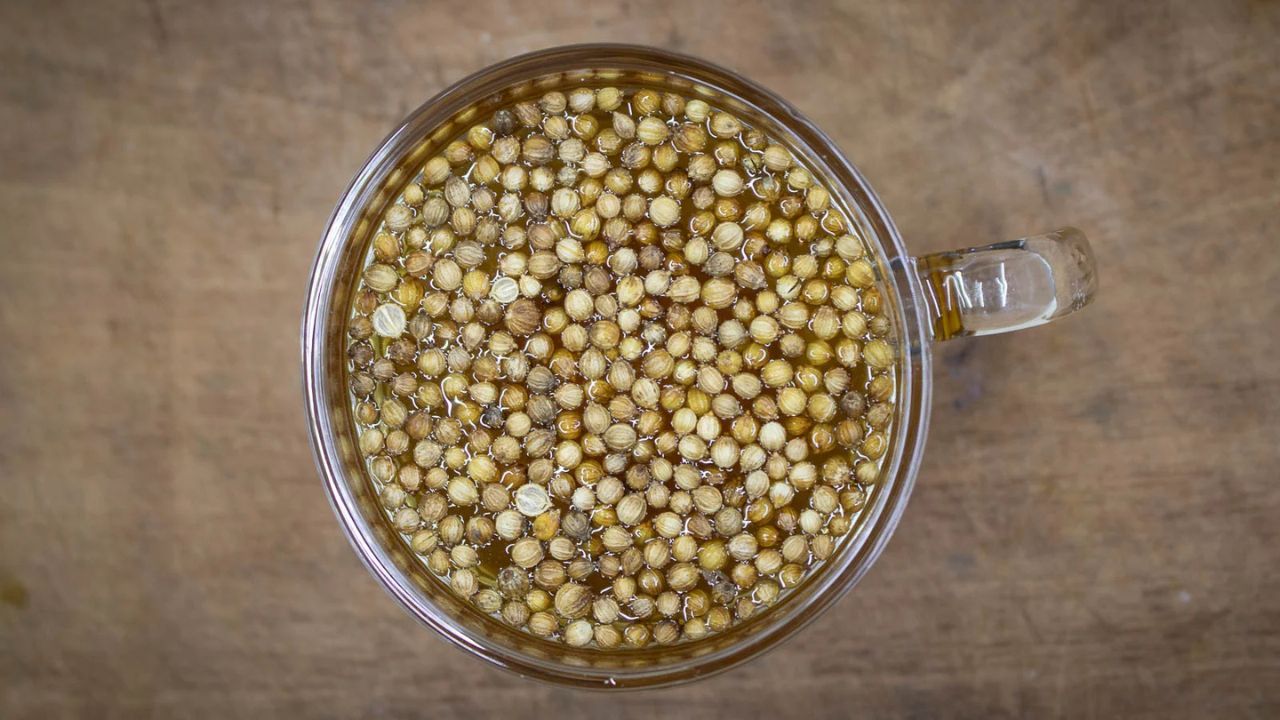 Soak Cilantro Seeds Before Planting